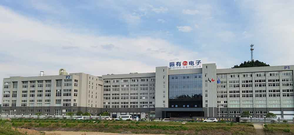 浙江振有电子股份有限公司定制一台大型蜜桃成人无码区免费视频网站